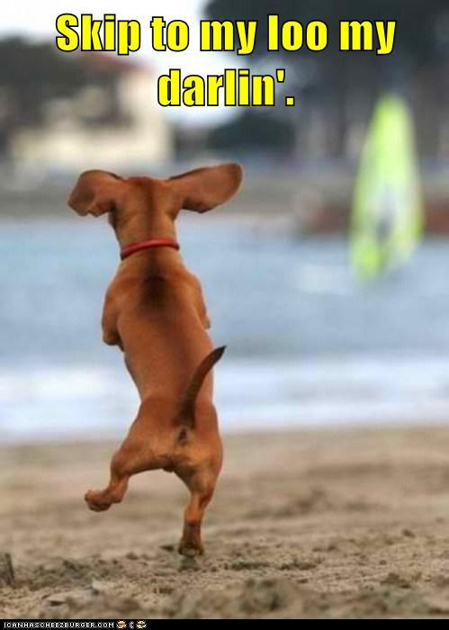 Skip to my loo...