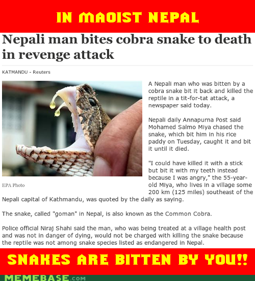 In Maoist Nepal, Snakes Are Bitten By YOU!!