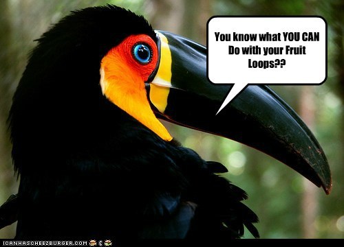 Toucan Shmoocan