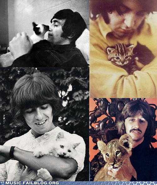Just Some Pics of the Beatles With Cats