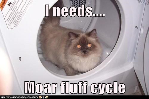 I needs....  Moar fluff cycle