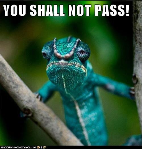 Unless You Were to Somehow Walk Around the Tree