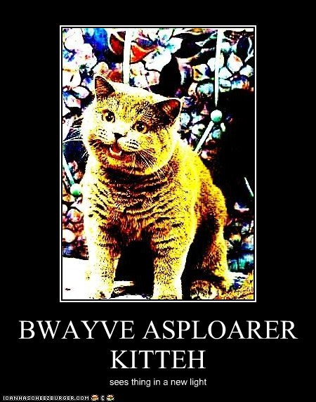 BWAYVE ASPLOARER KITTEH