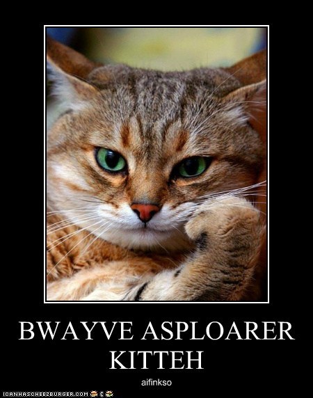 BWAYVE ASPLOARER KITTEH
