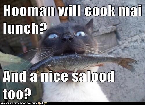Hooman will cook mai lunch?  And a nice salood too?