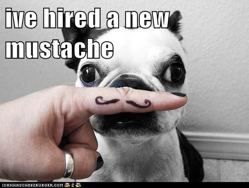 ive hired a new mustache