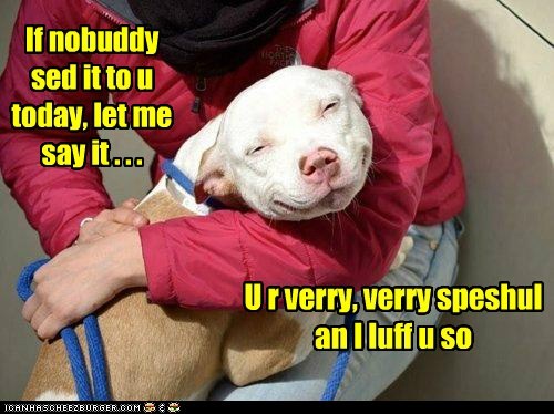 I Has A Hotdog: U r speshul! 