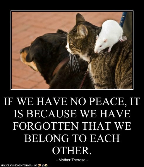 IF WE HAVE NO PEACE, IT IS BECAUSE WE HAVE FORGOTTEN THAT WE BELONG TO EACH OTHER.