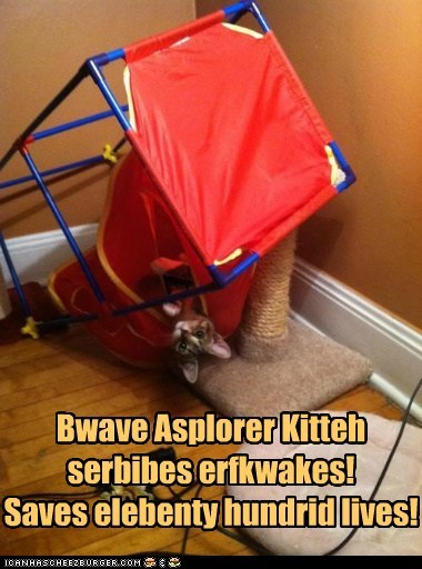 Bwave Asplorer Kitteh saves lives!