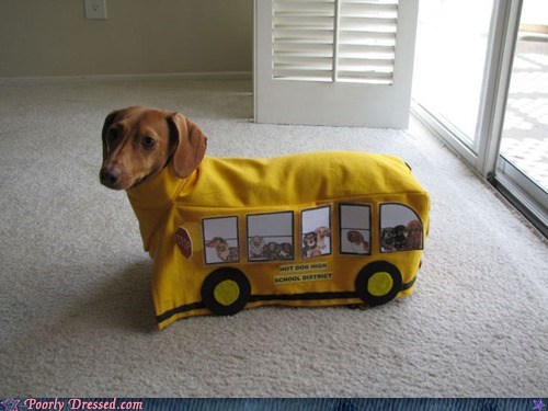 The Wheels on the Bus Go "Woof Woof Woof"