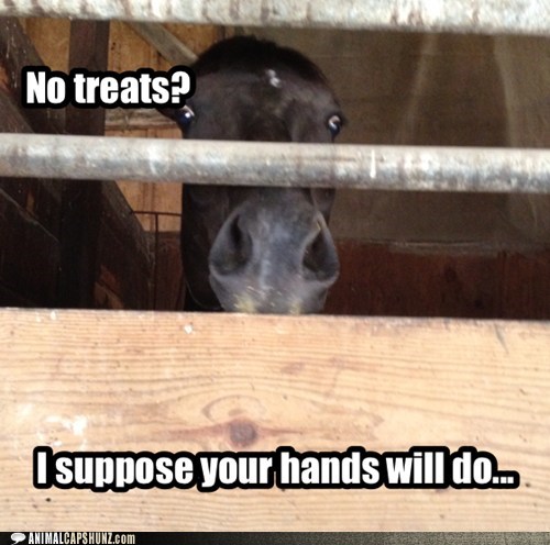 Animal Capshunz: Go On, Pet My Nose