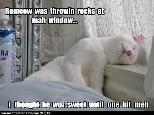 Classic LOLcat