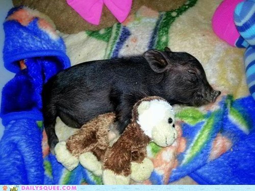 Daily Squee: Reader Squee: Spooning 