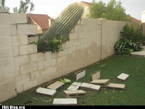 Cactus Demolition Crew FAIL