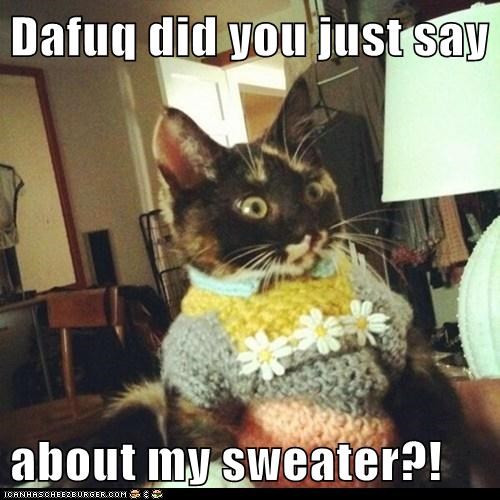 Dafuq did you just say  about my sweater?!