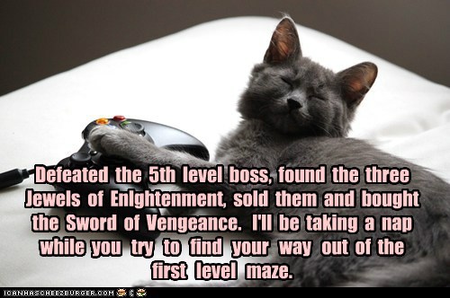 Defeated  the  5th  level  boss...
