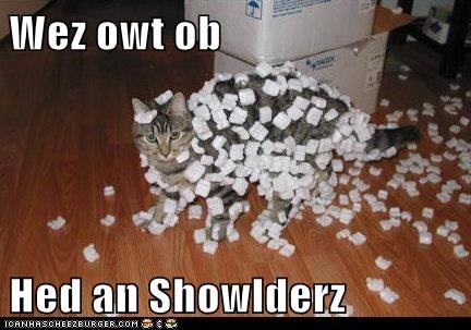 Wez owt ob   Hed an Showlderz
