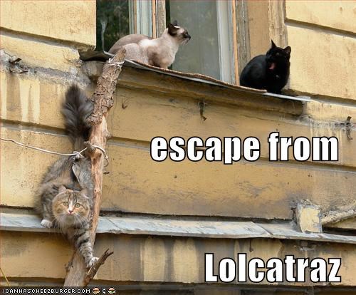 escape from Lolcatraz