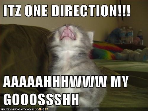 ITZ ONE DIRECTION!!!  