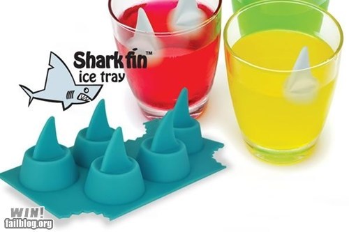 WIN!: Ice Sharks WIN