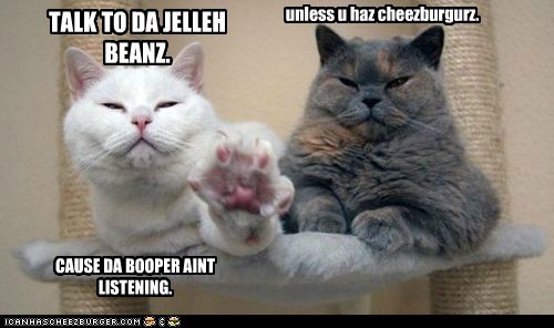 Jelleh beanz ARE listening.