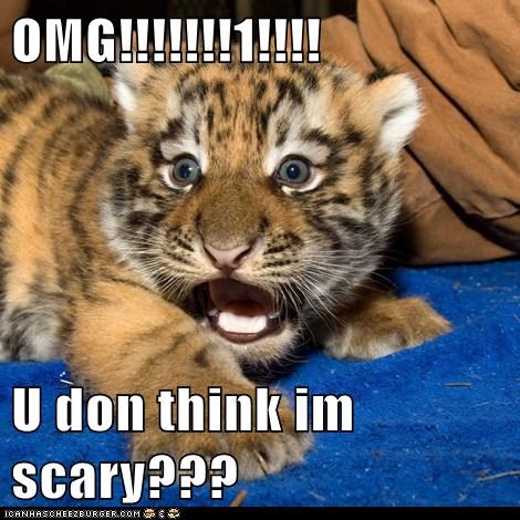 OMG!!!!!!!1!!!!  U don think im scary???