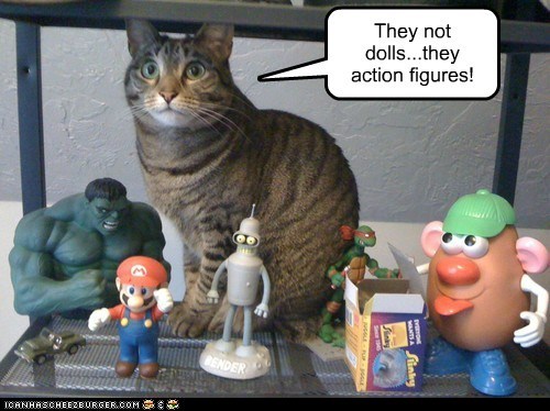 Geek Cat