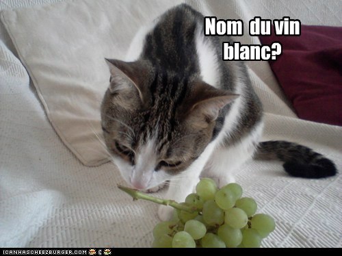 Nom  du vin blanc?