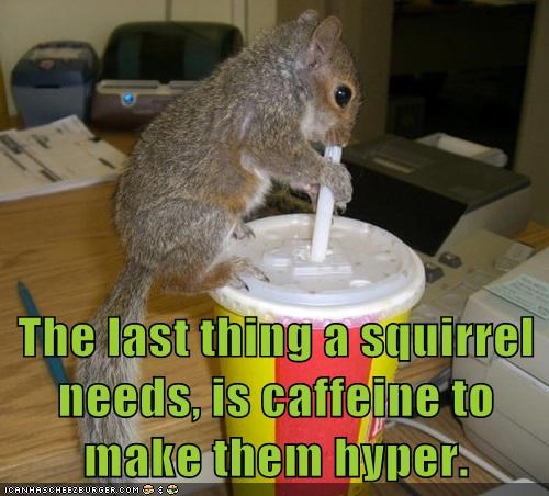 Animal Capshunz: But It's On the List