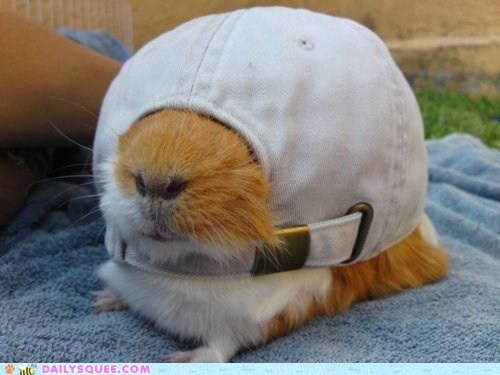 Cool Hat Bro 