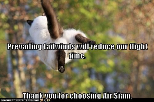Prevailing tailwinds will reduce our flight time. Thank you for choosing Air Siam.
