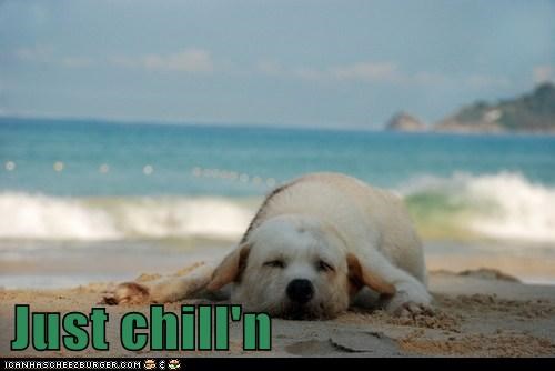Just chill'n