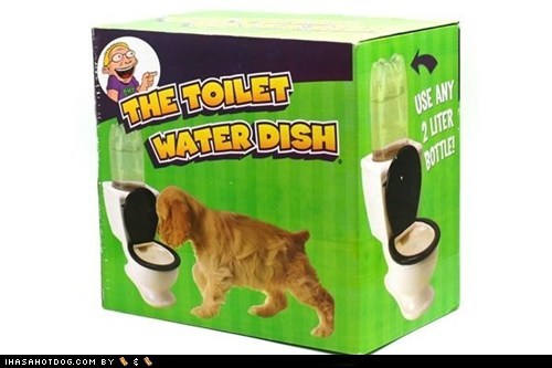 Goggie Swag: Toilet Water Dish 