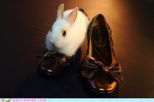 High Heel Buns 