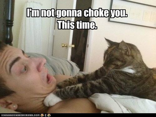 I'm not gonna choke you. This time.