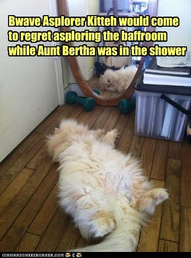 Bwave Asplorer Kitteh would come to regret asploring the baffroom while Aunt Bertha was in the shower