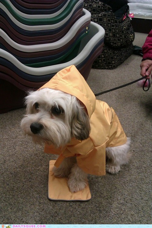 Reader Squee: Prepared for the Worst