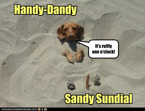 Sundial Dog