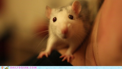 Reader Squee: Marge