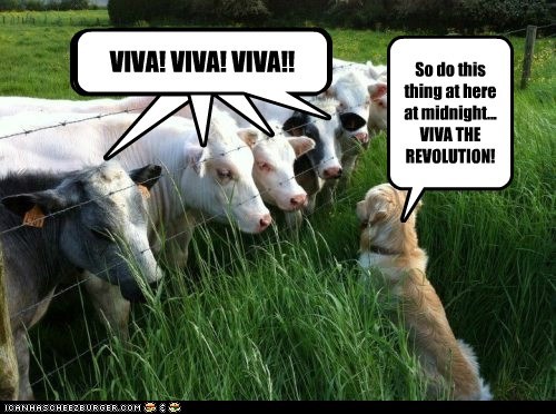 Do You Hear the Bovine Sing