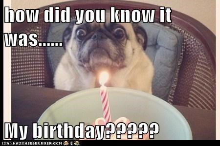 how did you know it was......  My birthday?????