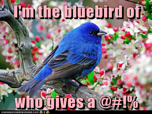 Animal Capshunz: Pleased to @#!%-ing Meet Ya!