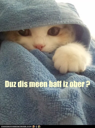 Lolcats: OH, GOOD!