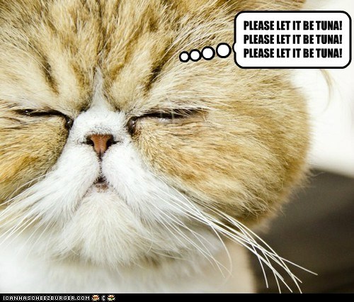 PLEASE LET IT BE TUNA! 
