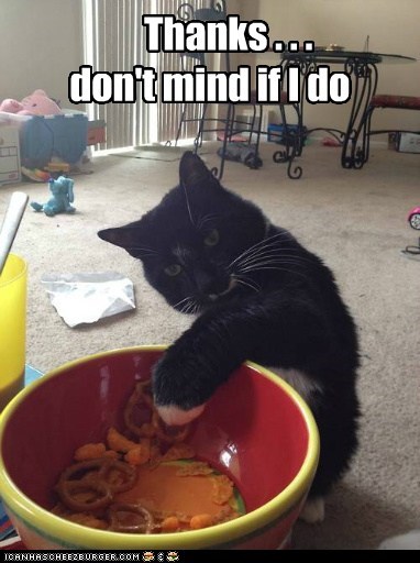 Lolcats: Before u eetz dem awl