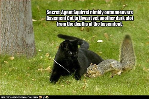 Not to Be Confused With Secret Squirrel
