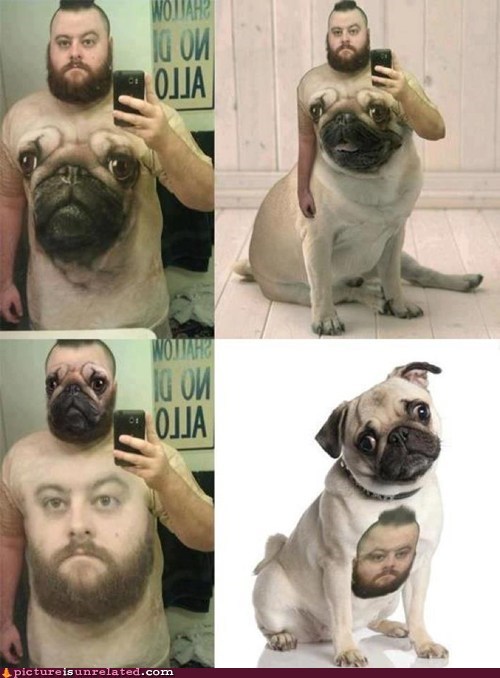 Classic: Pugtastic 