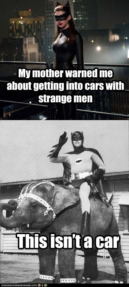 Silly Catwoman!
