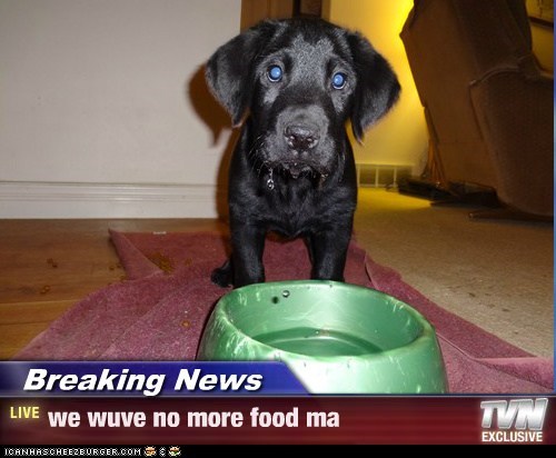 Breaking News - we wuve no more food ma