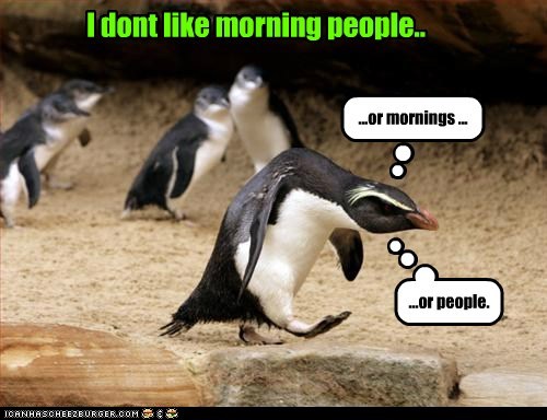 Animal Capshunz: I dont like morning people..